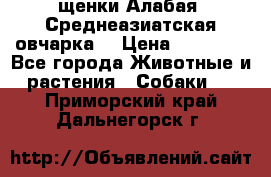 щенки Алабая (Среднеазиатская овчарка) › Цена ­ 15 000 - Все города Животные и растения » Собаки   . Приморский край,Дальнегорск г.